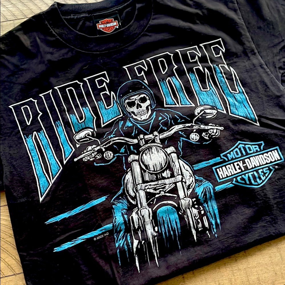 Harley-Davidson Black and Blue Graphic Tee